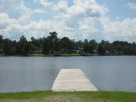 503 Nut Pines Drive Village Mills TX 77663