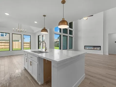 32436 Forktail Lake Drive Fulshear TX 77441