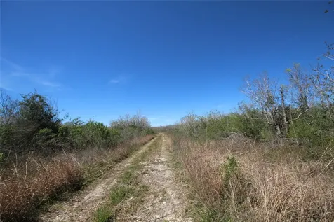 Tbd Texas Highway 288 S Rosharon TX 77583