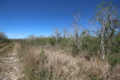 Tbd Texas Highway 288 S Rosharon TX 77583