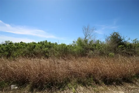 Tbd Texas Highway 288 S Rosharon TX 77583