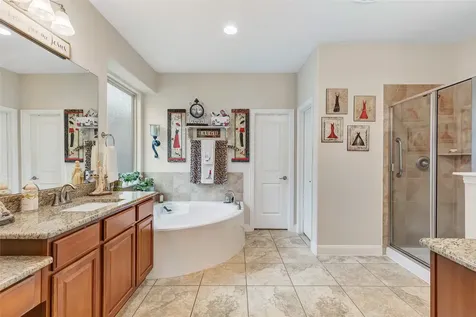 20390 Presley Grove Drive Porter TX 77365