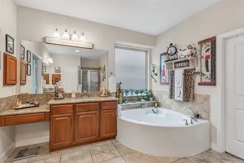 20390 Presley Grove Drive Porter TX 77365