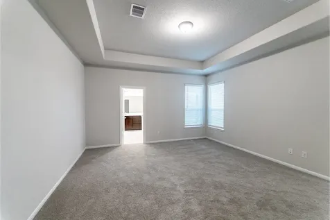 2818 Blue Iolite Drive Iowa Colony TX 77583