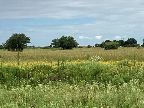 Lot 88 Gadwall Lane Columbus TX 78934