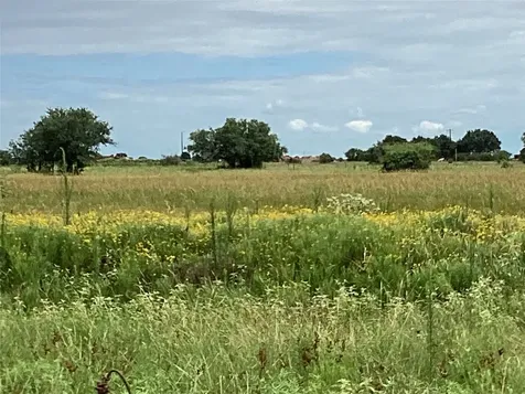 Lot 88 Gadwall Lane Columbus TX 78934
