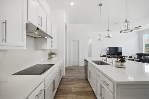 30610 Southern Dewberry Court Fulshear TX 77441