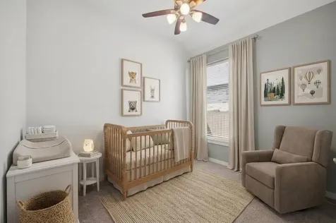 30610 Southern Dewberry Court Fulshear TX 77441
