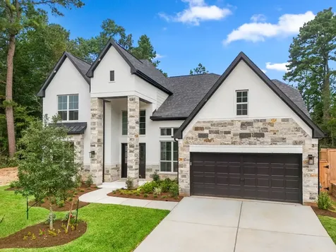 208 Lilac Tree Court Willis TX 77318