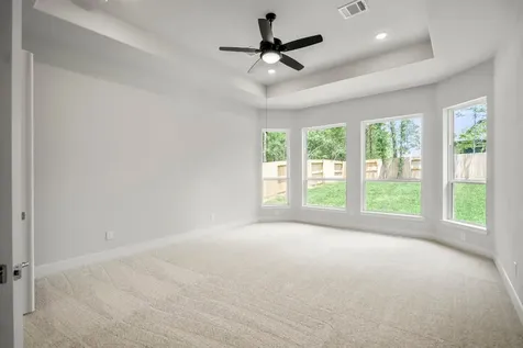 208 Lilac Tree Court Willis TX 77318