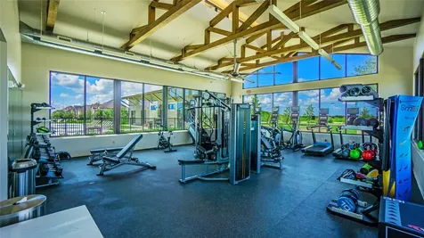 114 Twilight Meadow Way Richmond TX 77406