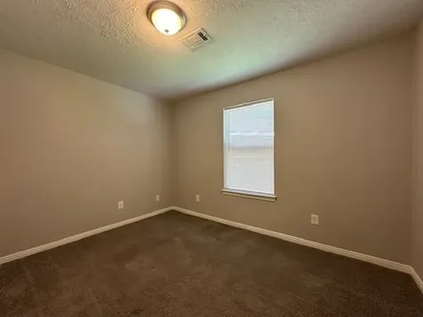 16313 Many Trees Lane Conroe TX 77302