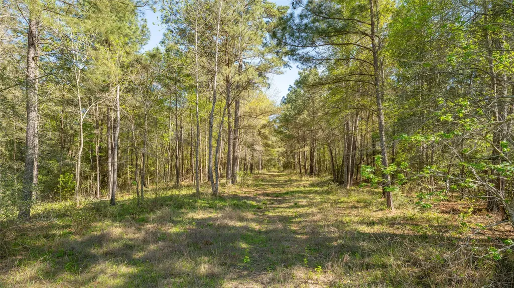 000 Bighorn Road Huntsville TX 77358