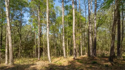 000 Bighorn Road Huntsville TX 77358