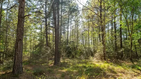 000 Bighorn Road Huntsville TX 77358