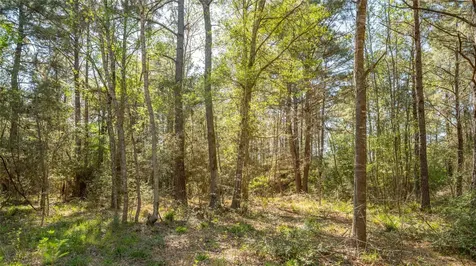 000 Bighorn Road Huntsville TX 77358