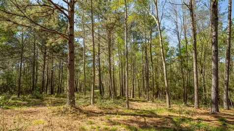 000 Bighorn Road Huntsville TX 77358