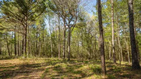 000 Bighorn Road Huntsville TX 77358