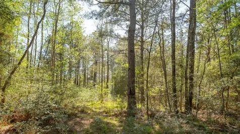 000 Bighorn Road Huntsville TX 77358
