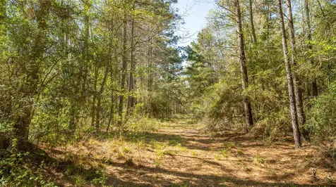 000 Bighorn Road Huntsville TX 77358