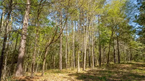 000 Bighorn Road Huntsville TX 77358