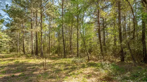 000 Bighorn Road Huntsville TX 77358