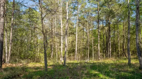 000 Bighorn Road Huntsville TX 77358
