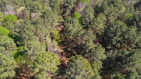 000 Bighorn Road Huntsville TX 77358
