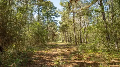 000 Bighorn Road Huntsville TX 77358