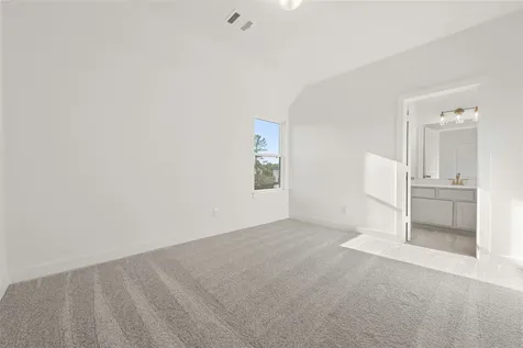 26133 North Skylight Brook Circle Montgomery TX 77316