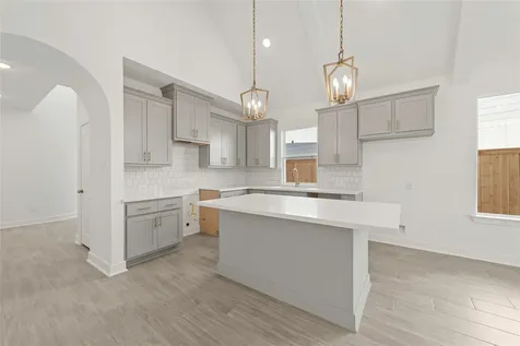 26133 North Skylight Brook Circle Montgomery TX 77316