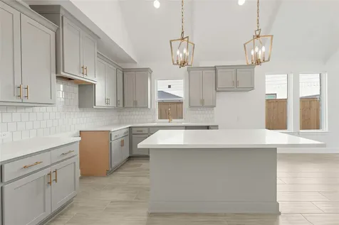 26133 North Skylight Brook Circle Montgomery TX 77316