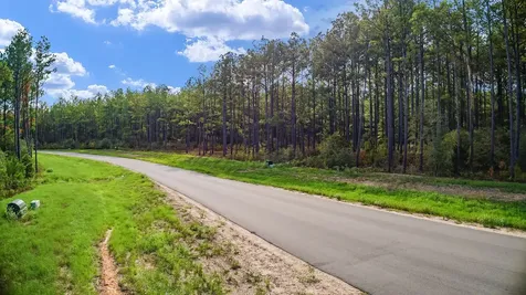 10886 Ruger Road Willis TX 77378
