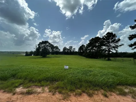 Lot 329 Madison Lake Loop Hillister TX 77624