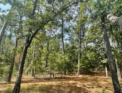 750 Private Road 8551 Broaddus TX 75929