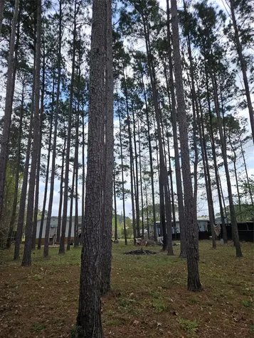 86 County Road 3541 Cleveland TX 77327