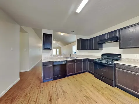 3719 Iris Ridge Way Fresno TX 77545