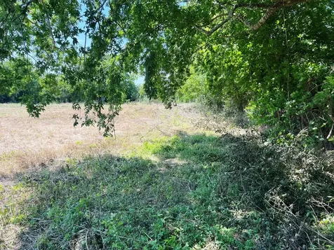 3509 Stella Road Brookshire TX 77423