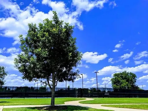 6027 Turner Shadow Lane Sugar Land TX 77479