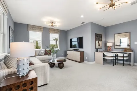 17226 Velvet Vineyard Place Cypress TX 77433