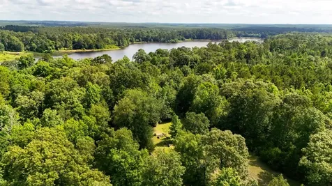 Tbd County Road 3145 Colmesneil TX 75938
