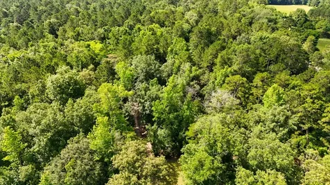 Tbd County Road 3145 Colmesneil TX 75938