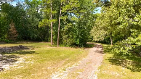 Tbd County Road 3145 Colmesneil TX 75938