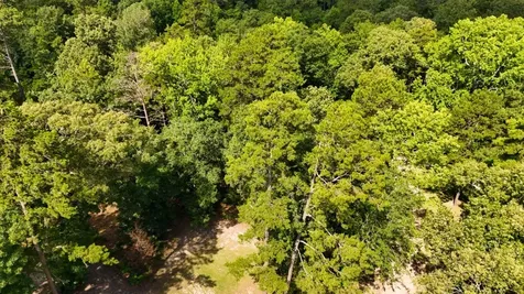 Tbd County Road 3145 Colmesneil TX 75938