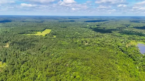 Tbd County Road 3145 Colmesneil TX 75938