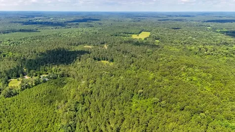 Tbd County Road 3145 Colmesneil TX 75938