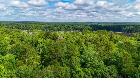 Tbd County Road 3145 Colmesneil TX 75938