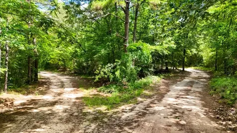 Tbd County Road 3145 Colmesneil TX 75938