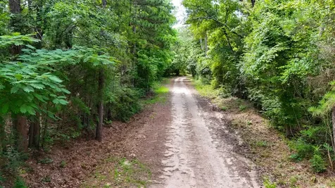 Tbd County Road 3145 Colmesneil TX 75938