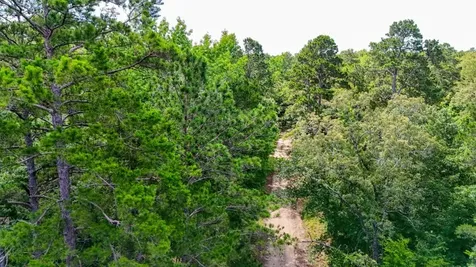 Tbd County Road 3145 Colmesneil TX 75938